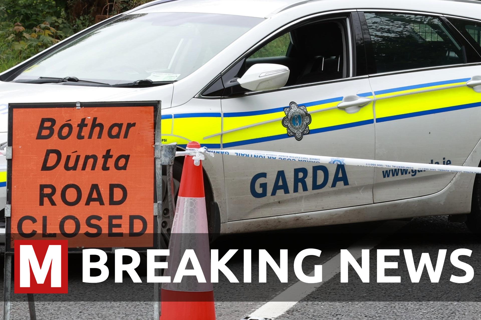 Irish - RIP 😥💔 Full story 🔗 in comments: | Facebook