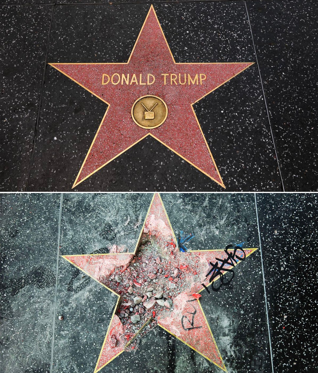 Life - The Donald Trump star on the Hollywood Walk of Fame didn’t just ...