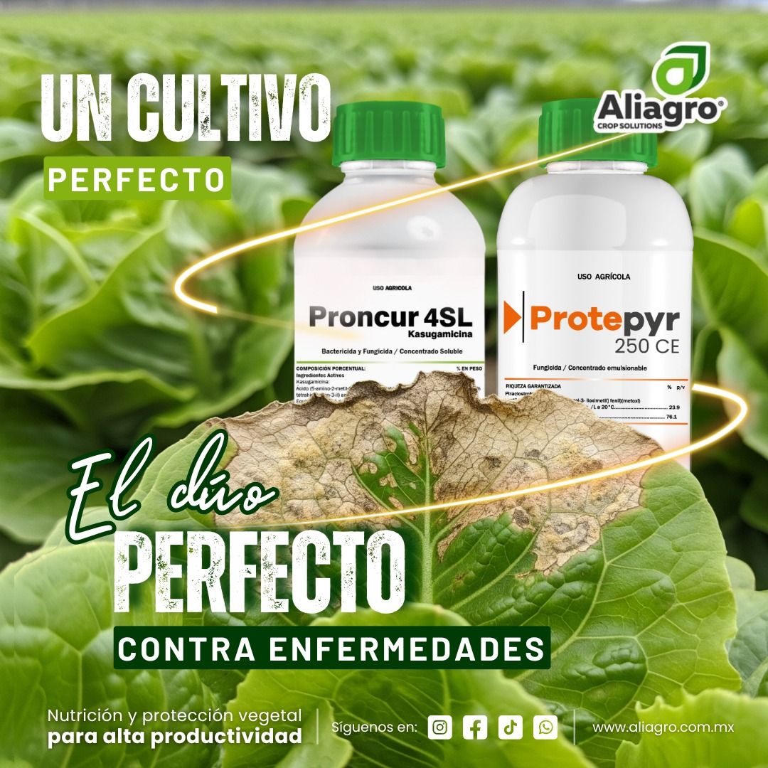 Aliagro - 🛡️ El DÚO que protege tu cultivo sin fallar 🌿 Proncur 4SL ...