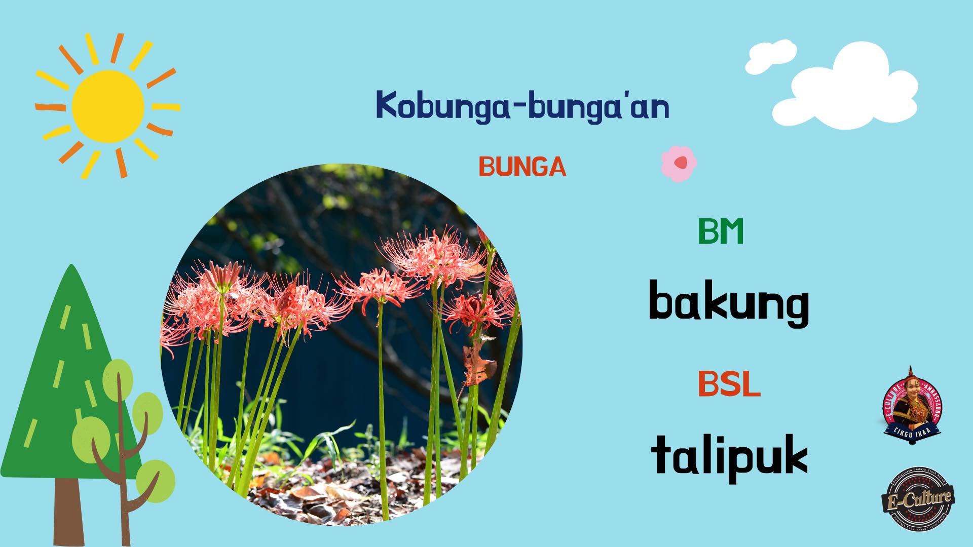 Hay Jomuyu - 📲 https://t.me/bahasaetniksuanglotud | Facebook