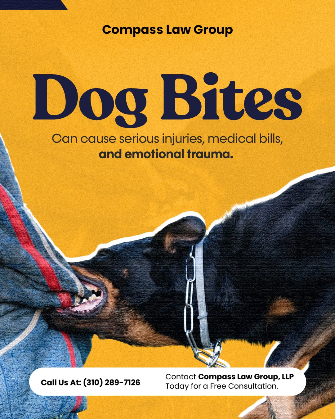 Compass - A dog attack can leave you with painful injuries, costly ...
