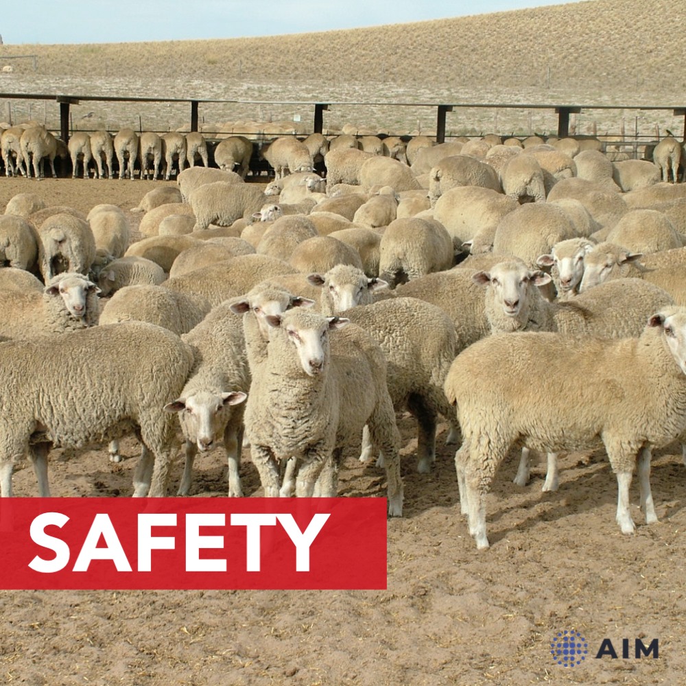 AIM Central - Safety First! With good management and the use of ...