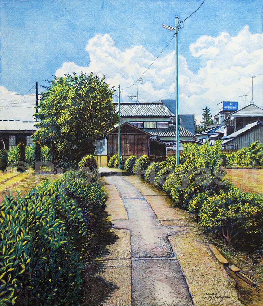 色鉛筆画家 林 - 新作完成。 晩夏の追憶 新座市大和田/色鉛筆（DesArt