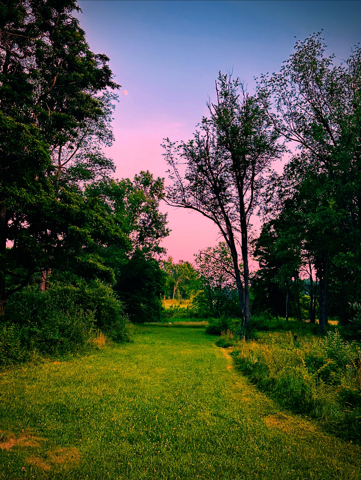 Crane's Landing at Three Rivers