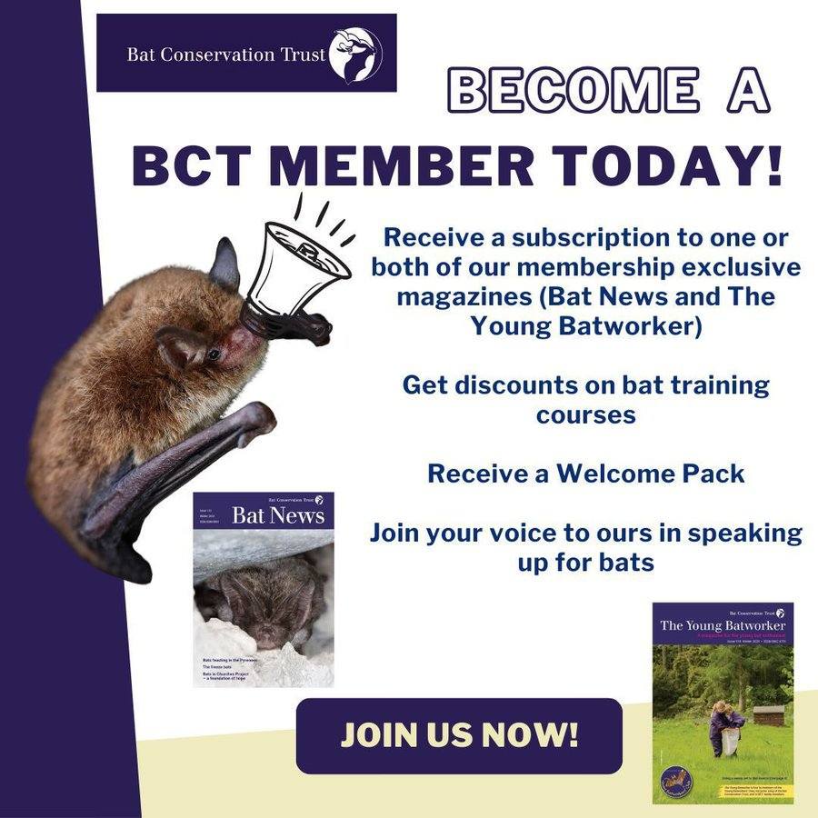 Joining the Bat Conservation... - Bat Conservation Trust | Facebook