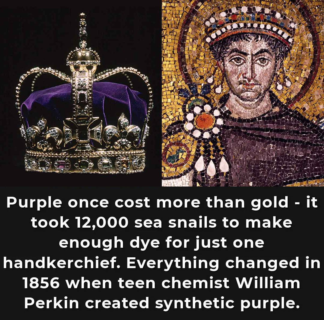 Some Amazing Facts - Tyrian purple, also known as royal or imperial ...