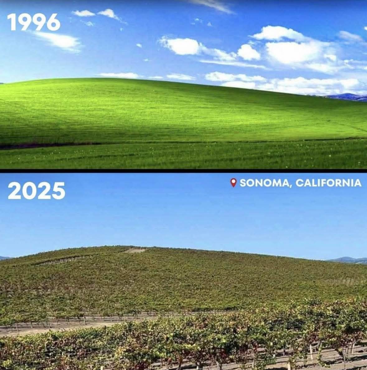 Darnell Benally - Windows XP wallpaper in 1996 vs 2025... | Facebook