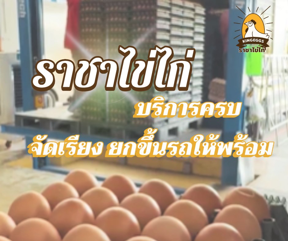 คิงส์ เอ้กส์ -... - คิงส์ เอ้กส์ - ราชาไข่ไก่ - King Eggs