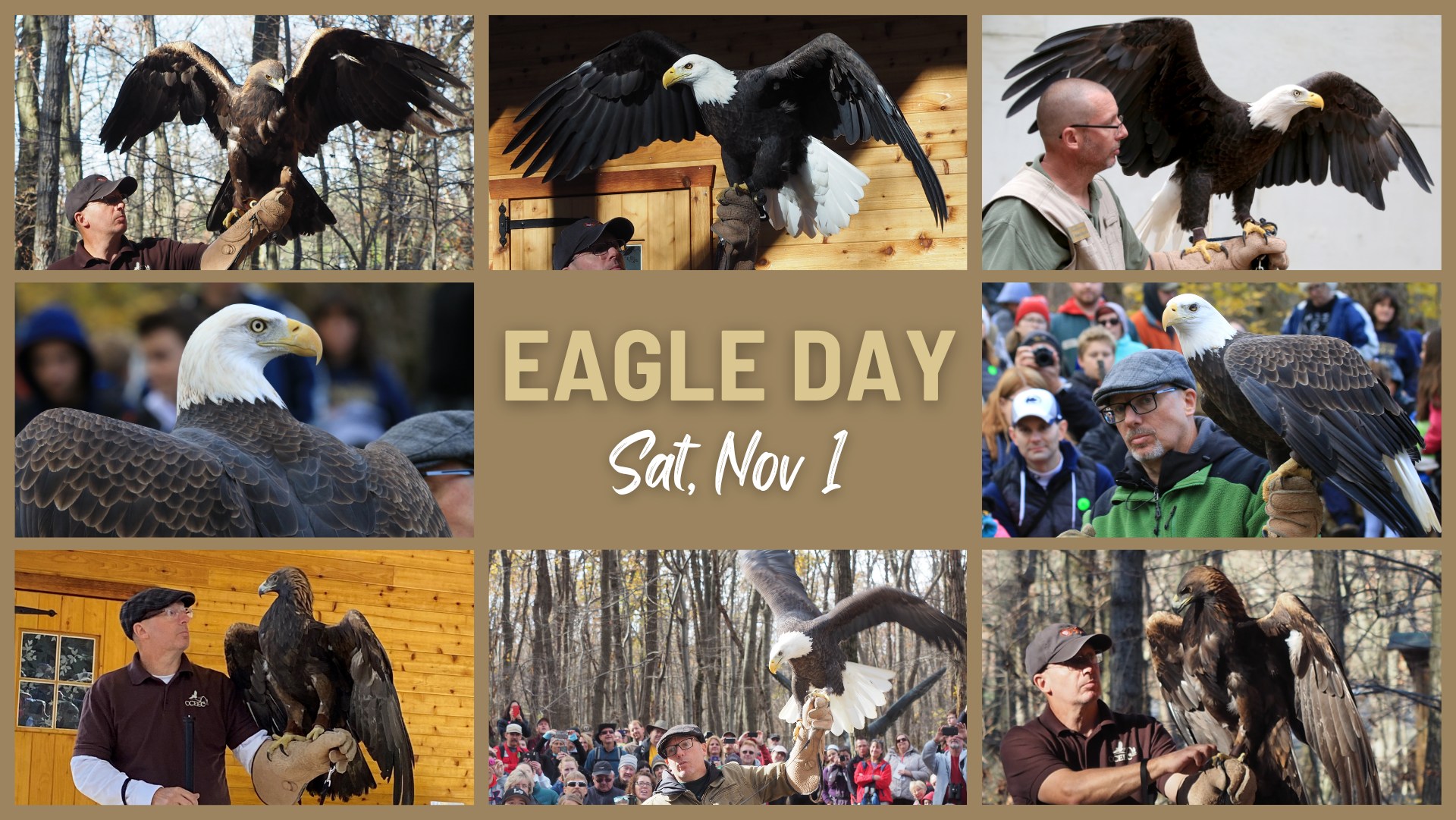 Hawk - Celebrate Eagle Day at Hawk Mountain! 🦅 See a golden and bald ...