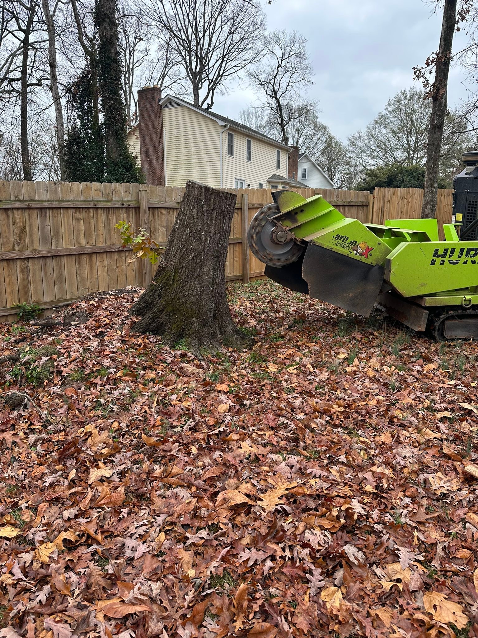 Grind-Time Stump Removal | Greer SC