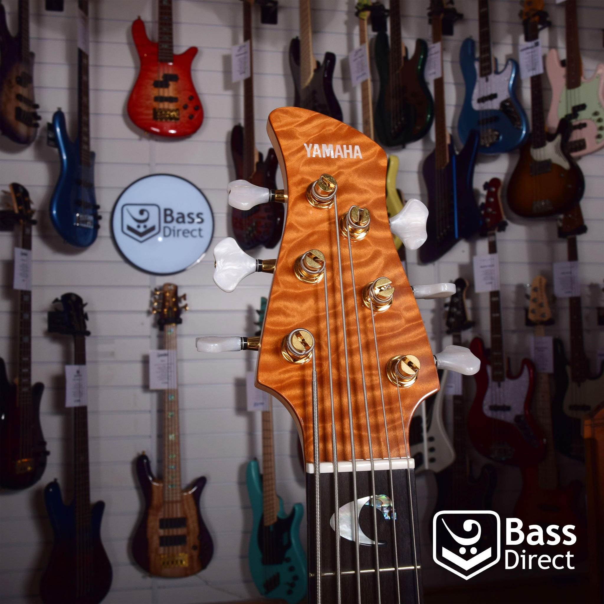 Yamaha TRB JP2! This 6-string amber beauty is the bass of choice