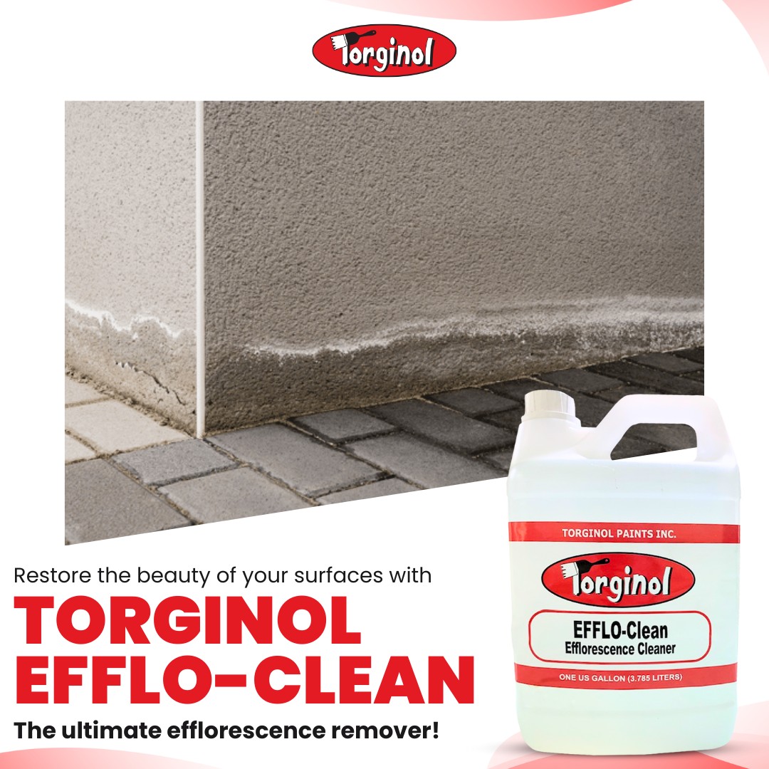 Say goodbye to efflorescence... - Torginol Paints Inc. | Facebook