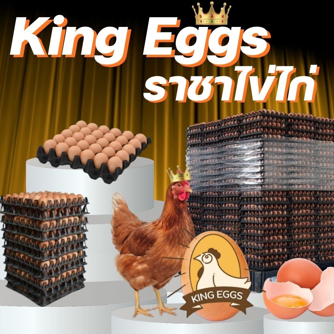 คิงส์ เอ้กส์ -... - คิงส์ เอ้กส์ - ราชาไข่ไก่ - King Eggs
