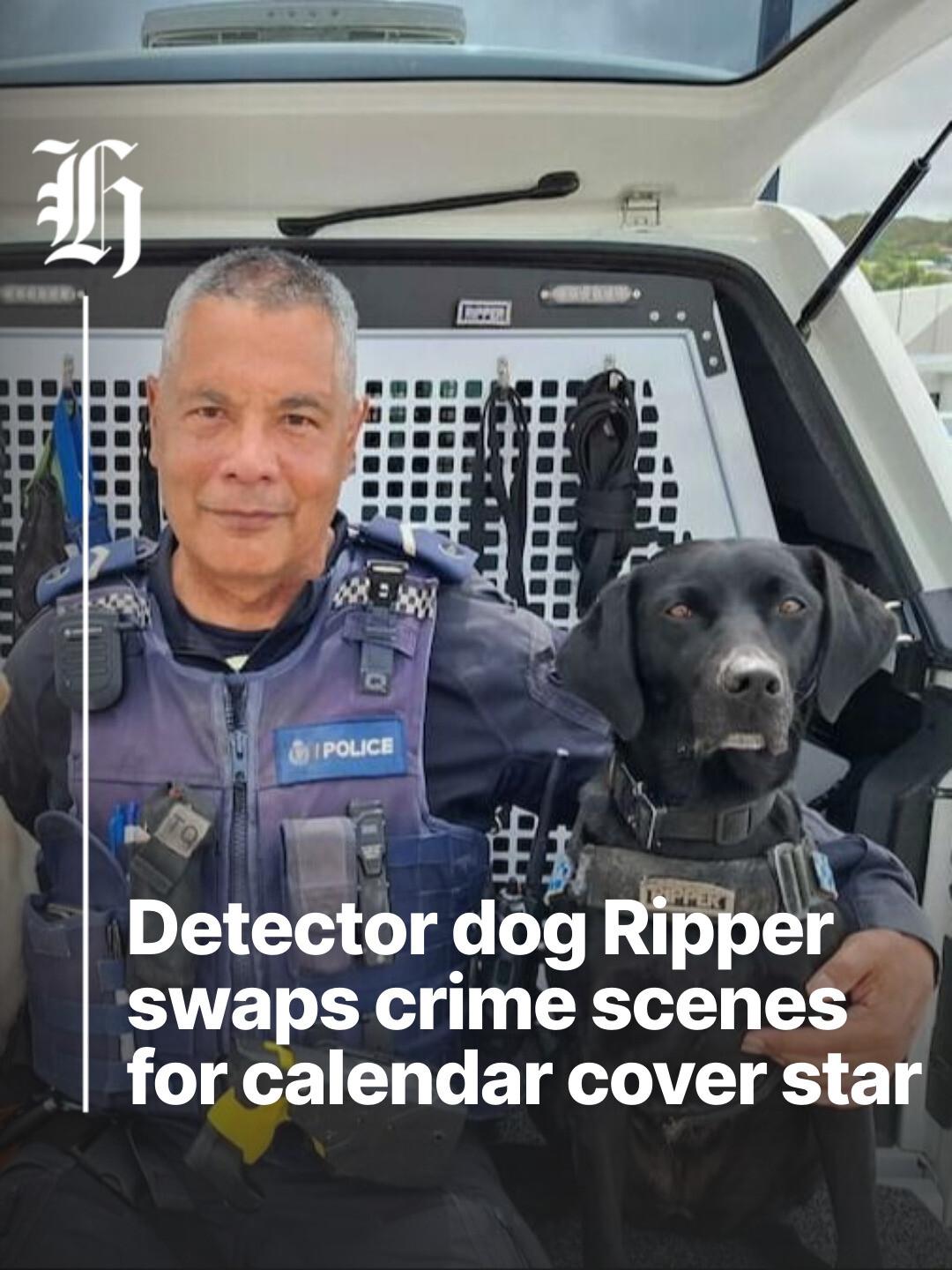 nzherald.co.nz - nzherald.co.nz added a new photo.