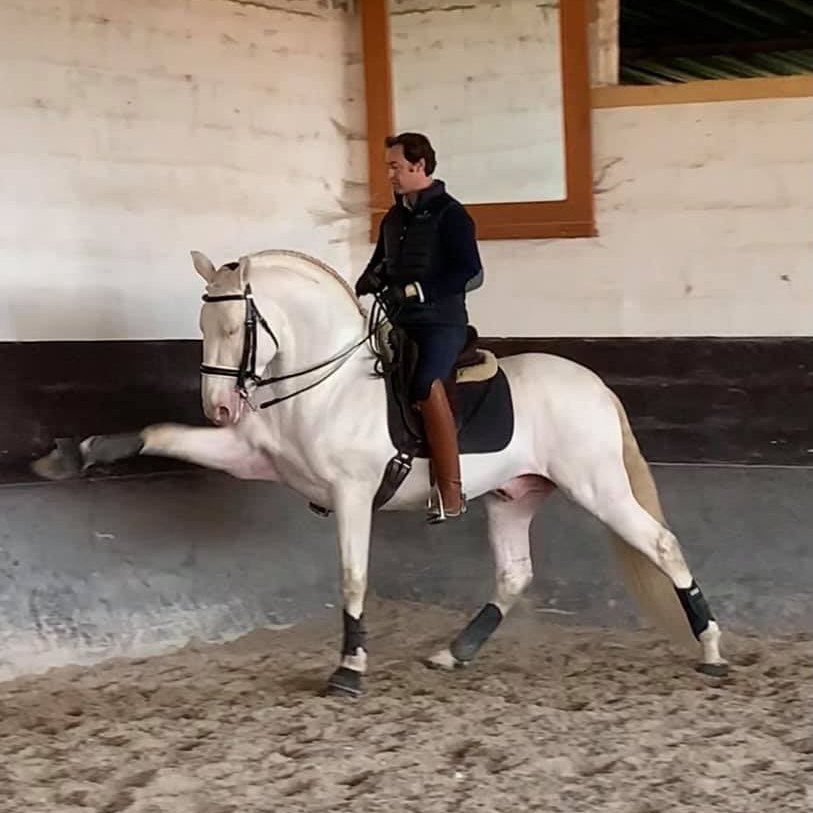 Gonçalo Linhas classical rider