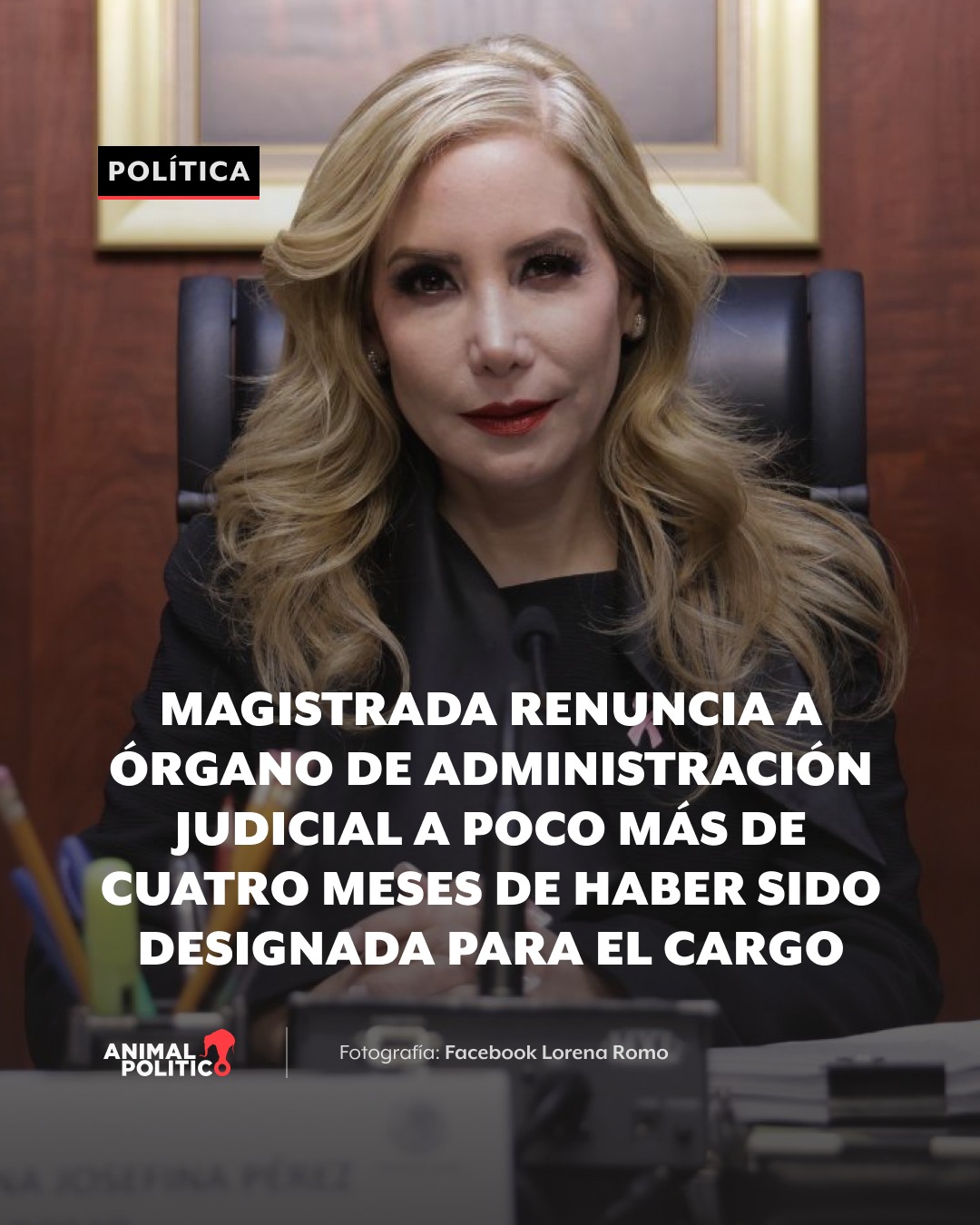 Animal - 🔴La magistrada Lorena Josefina Pérez Romo renunció al Órgano ...