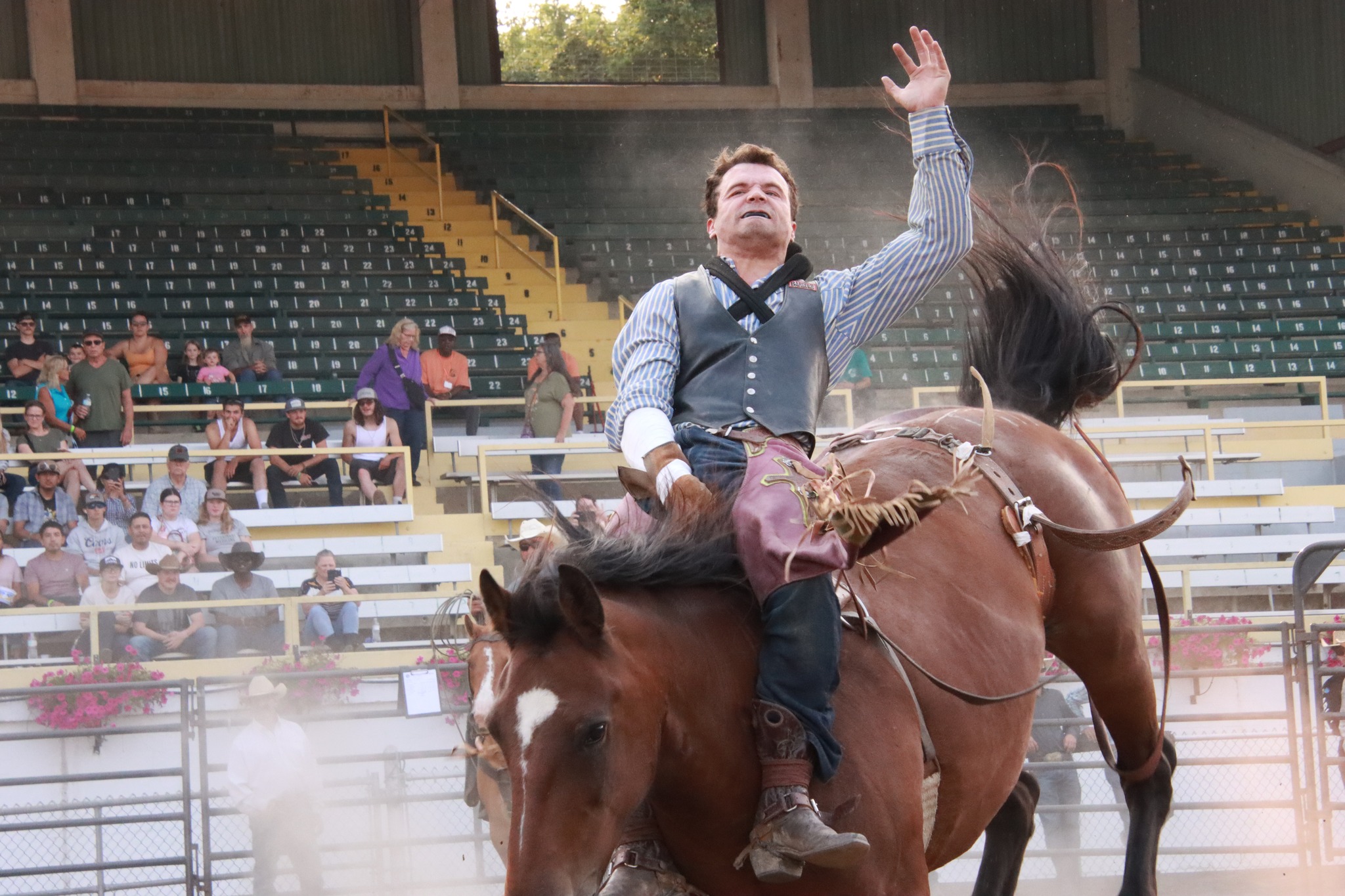 Jackson County Fair / M.G. Photos