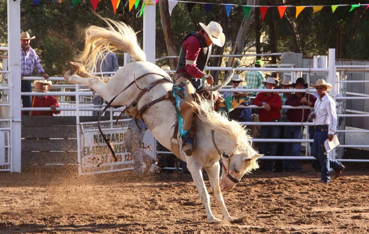 Narrandera RODEO | Narrandera NSW