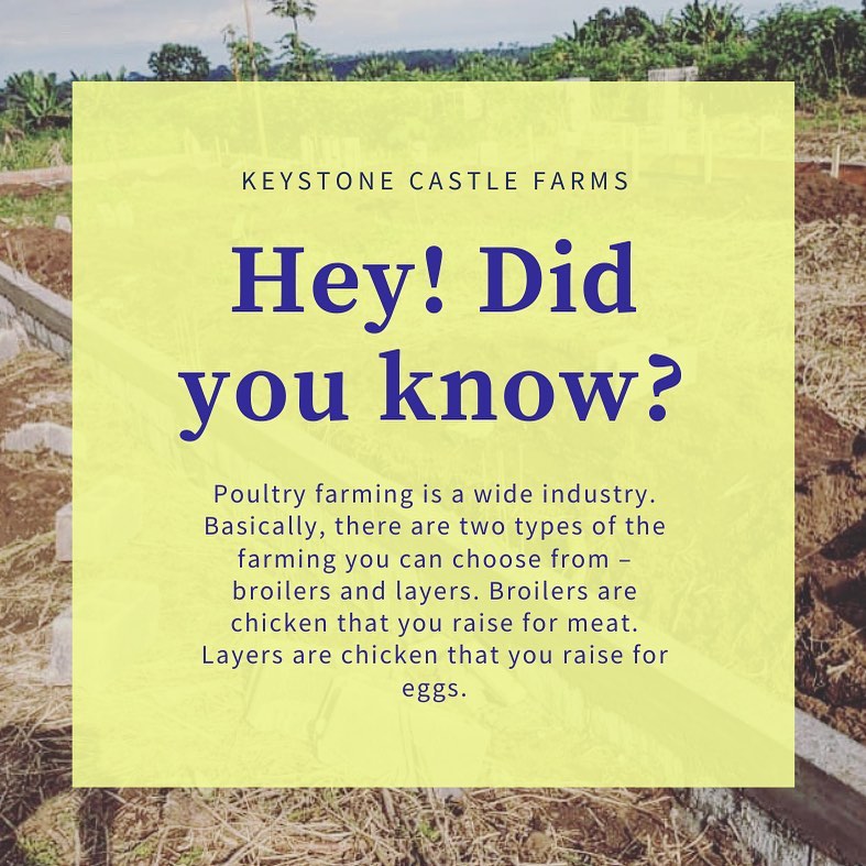 New project coming through.... - KeyStone Castle Farms | Facebook
