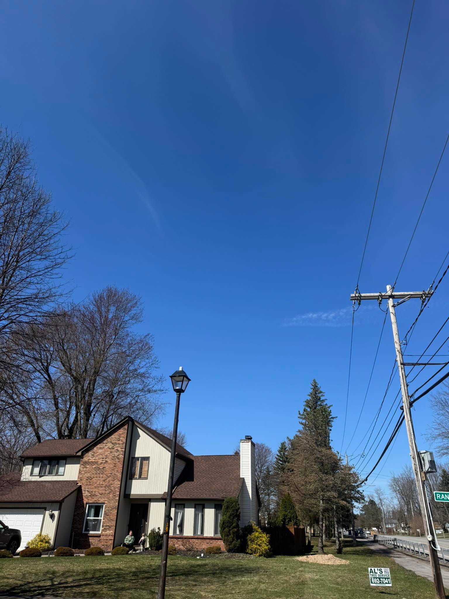 Al's Tree Service | Tonawanda NY