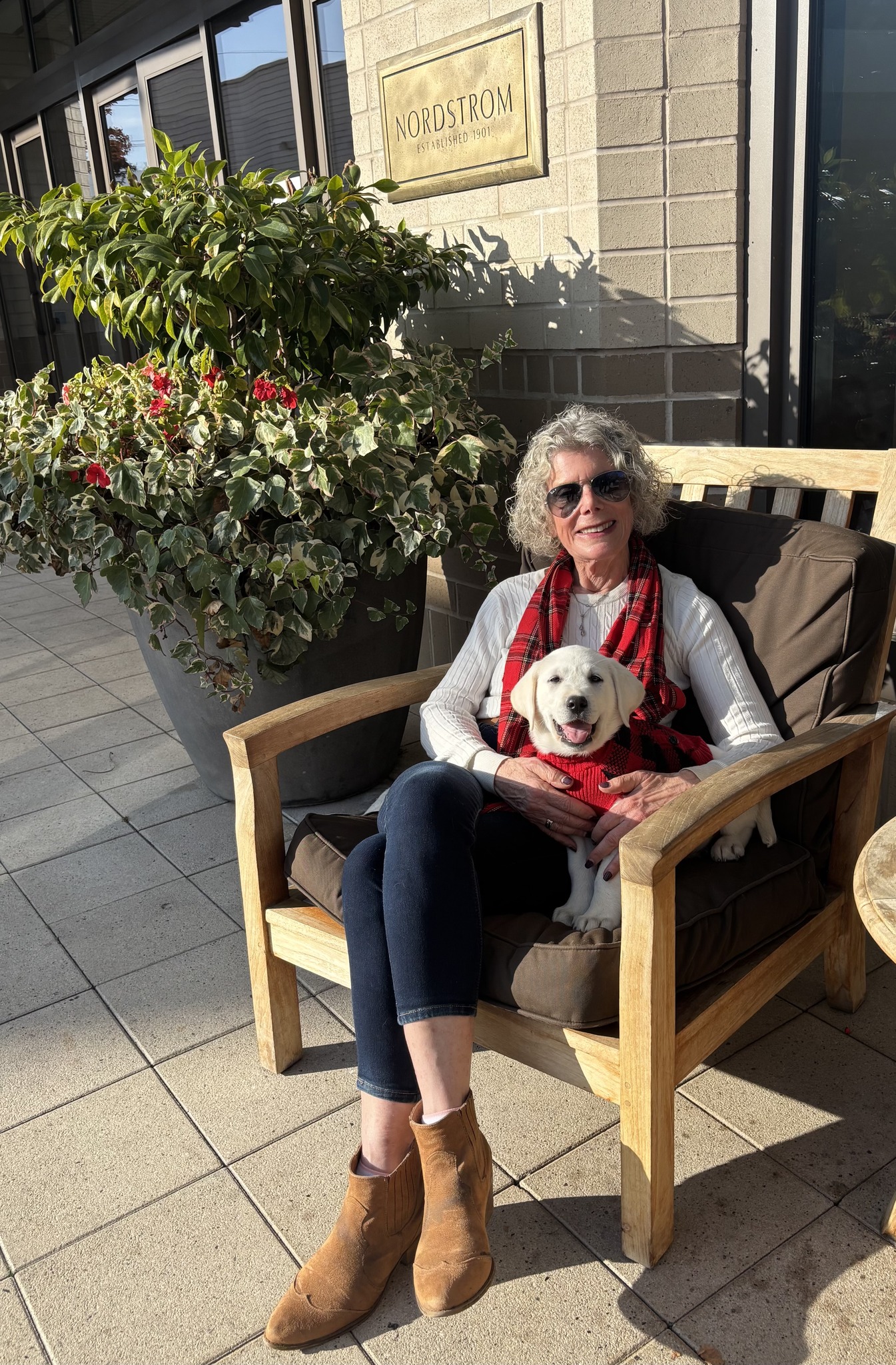 Snowy - One of our puppies, Truman, is now home with longtime Snowy ...