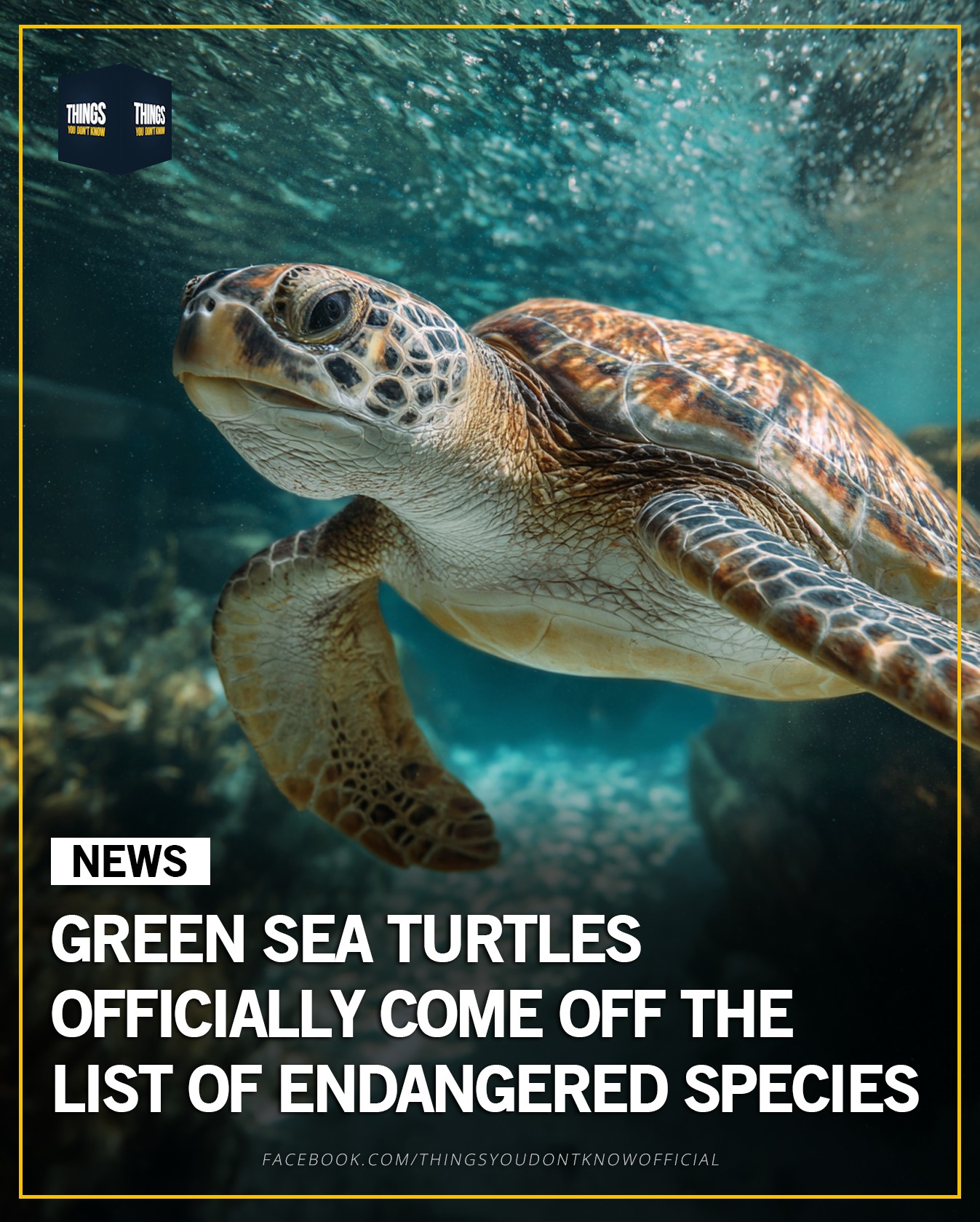 After decades of protection... - Things You Don't Know | Facebook