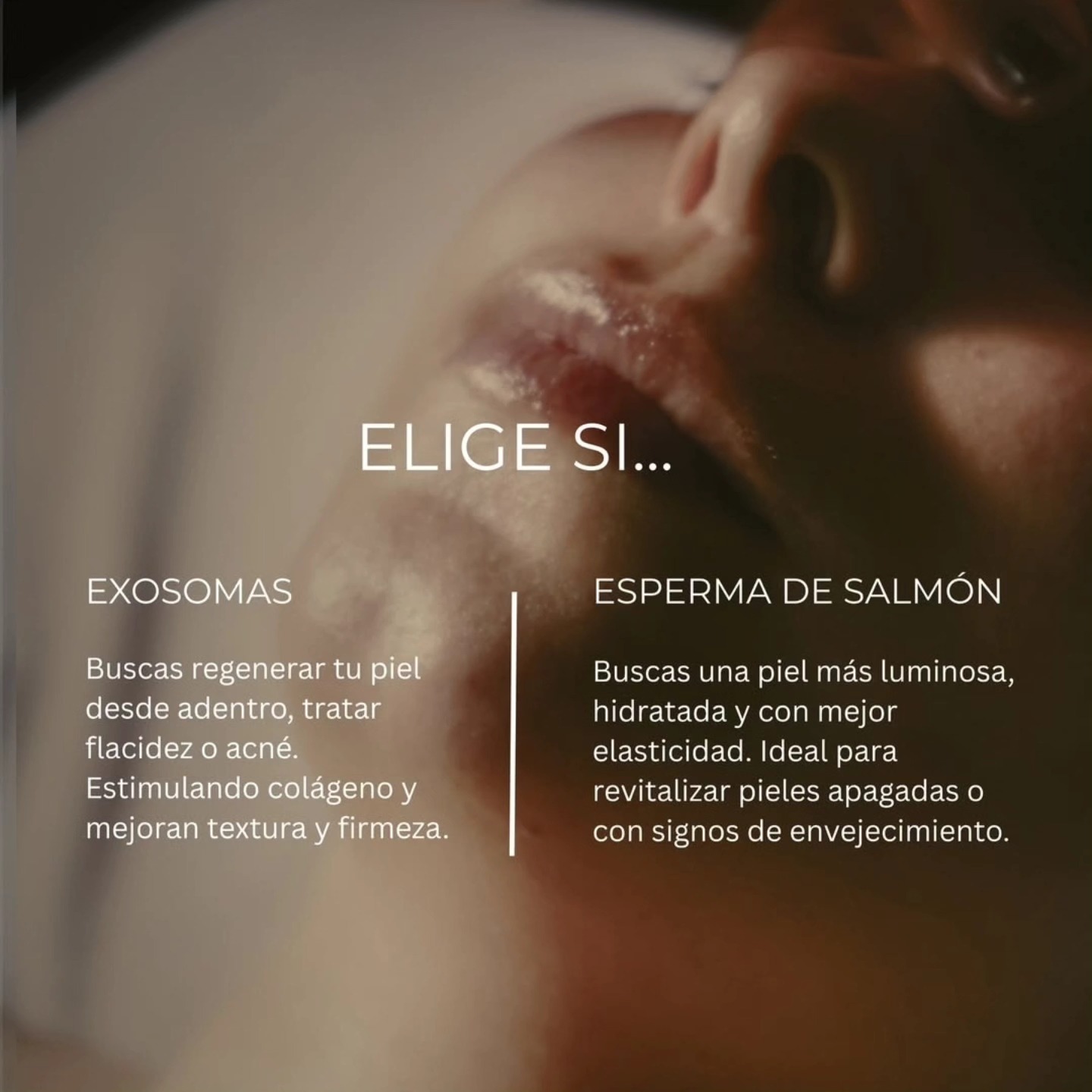 dimar_spa | Medellín