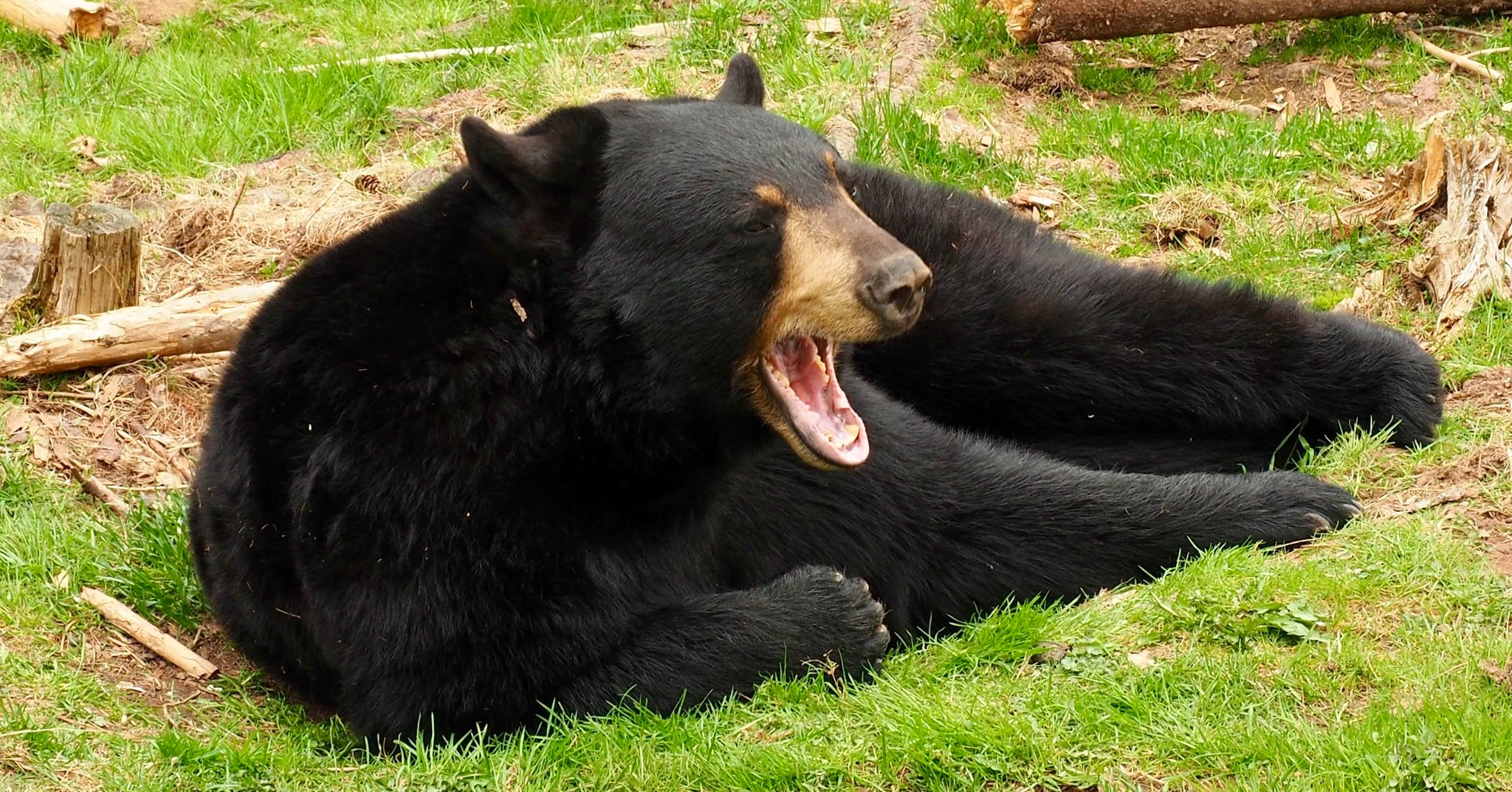 Shubenacadie Provincial Wildlife Park - Hey Sam, do you know...What is ...