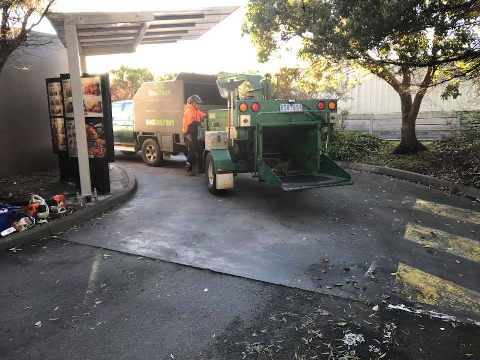 SNC TreeTech - SNC TreeTech added a new photo.