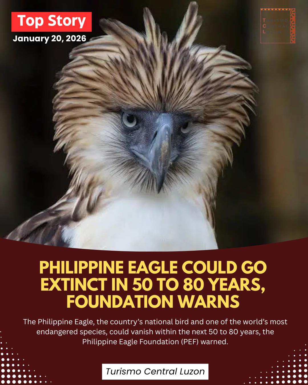Turismo - Is enough being done to save one of the country’s most iconic ...