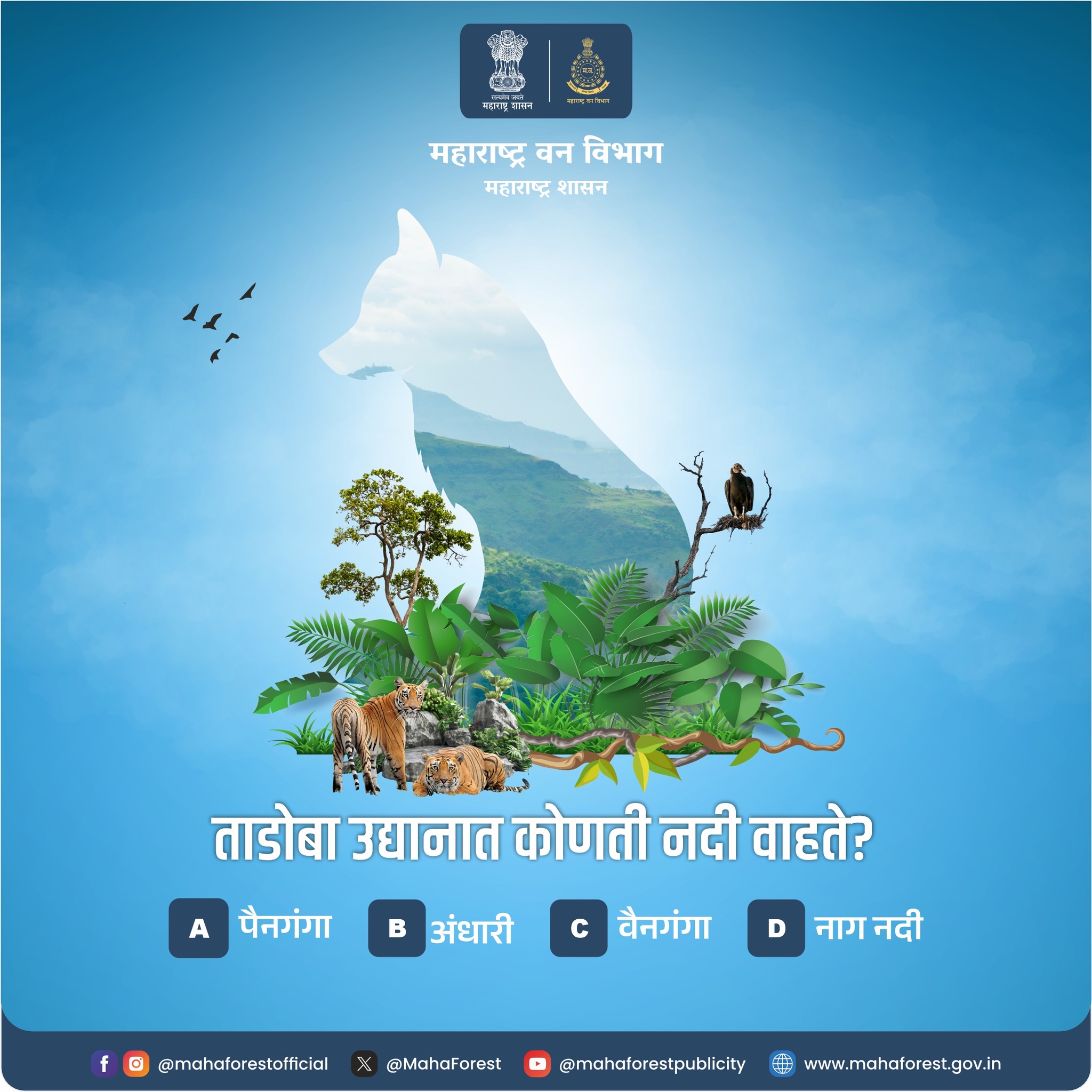 Maha Forest | Nagpur