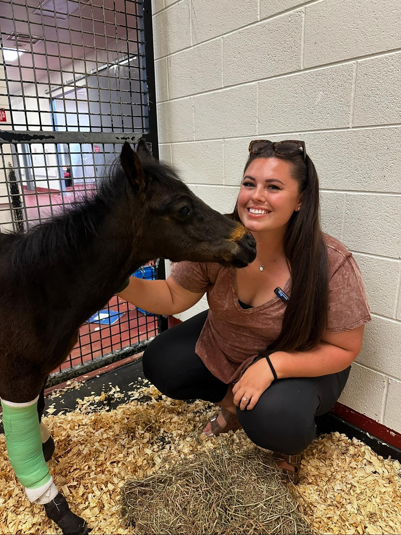 UTCVM-University of Tennessee College of Veterinary Medicine | Knoxville TN