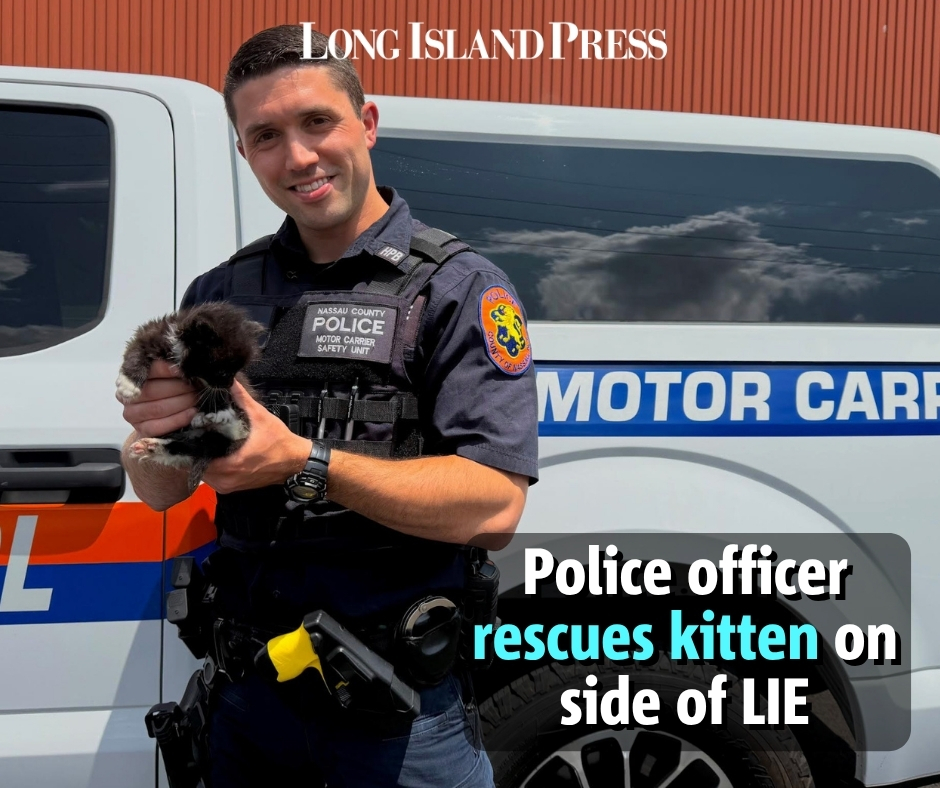 Long - Thankfully, this kitten didn’t have to learn what it was like to ...