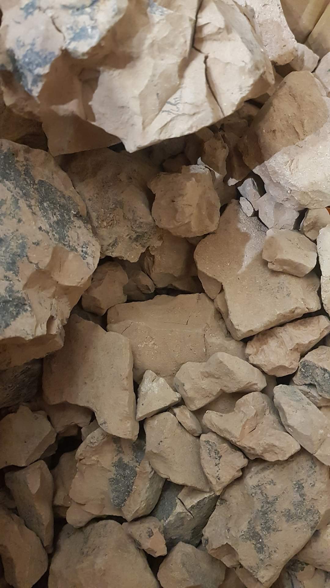 البيلون السوري أو 