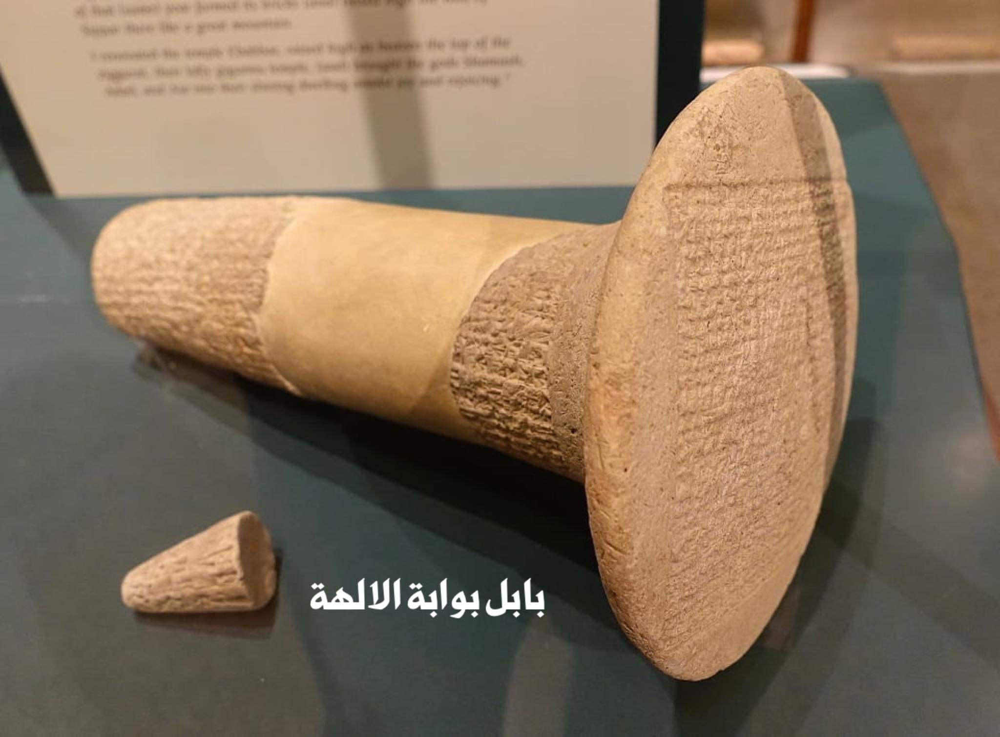 Dildar Shingaly - هذا الشبل من ذاك الاسد هذا المخروط... | Facebook