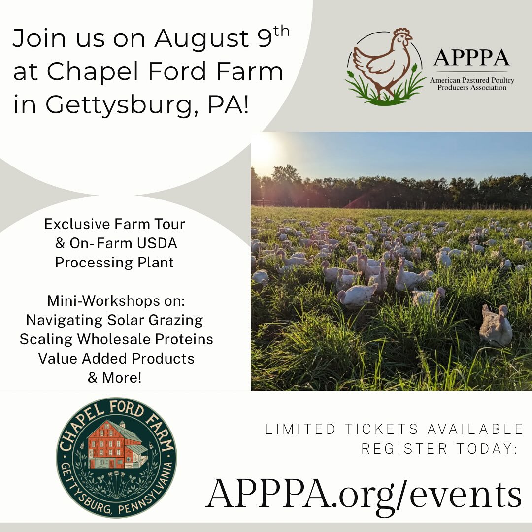 APPPA - Curious about solar grazing or what it takes to... | Facebook