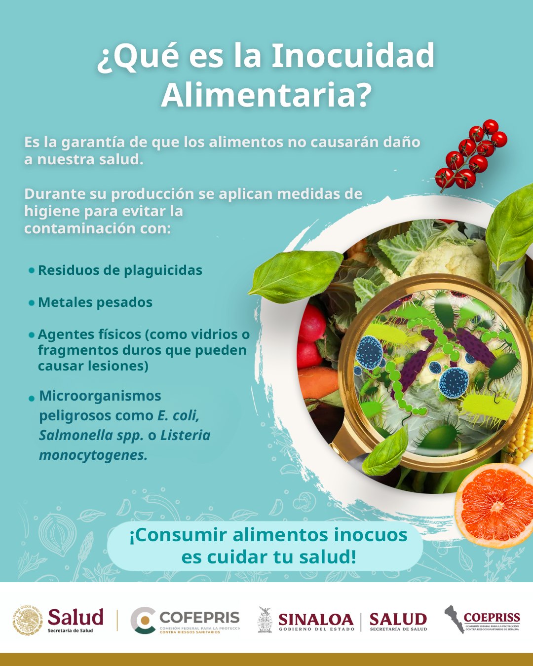 Coepriss - ¿Sabías que la inocuidad alimentaria es clave... | Facebook
