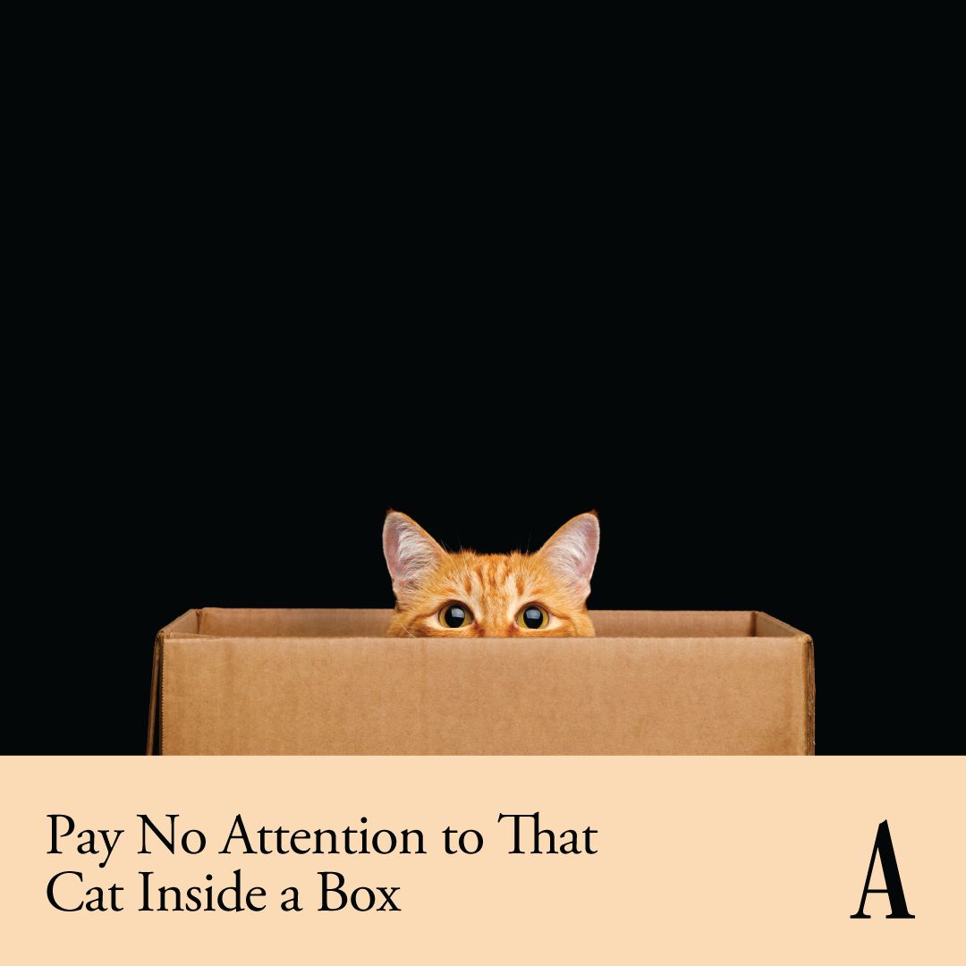 The Atlantic - Cats are absolute suckers for boxes. Why? https ...
