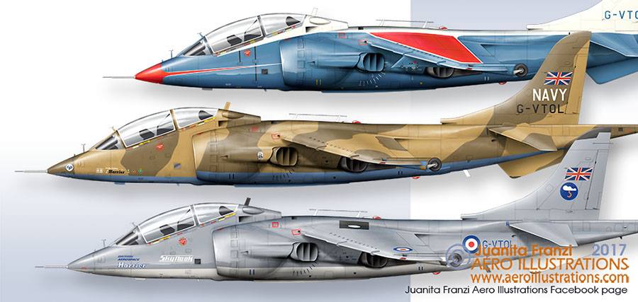Juanita Franzi Aero Illustrations - Many colours and many roles ...