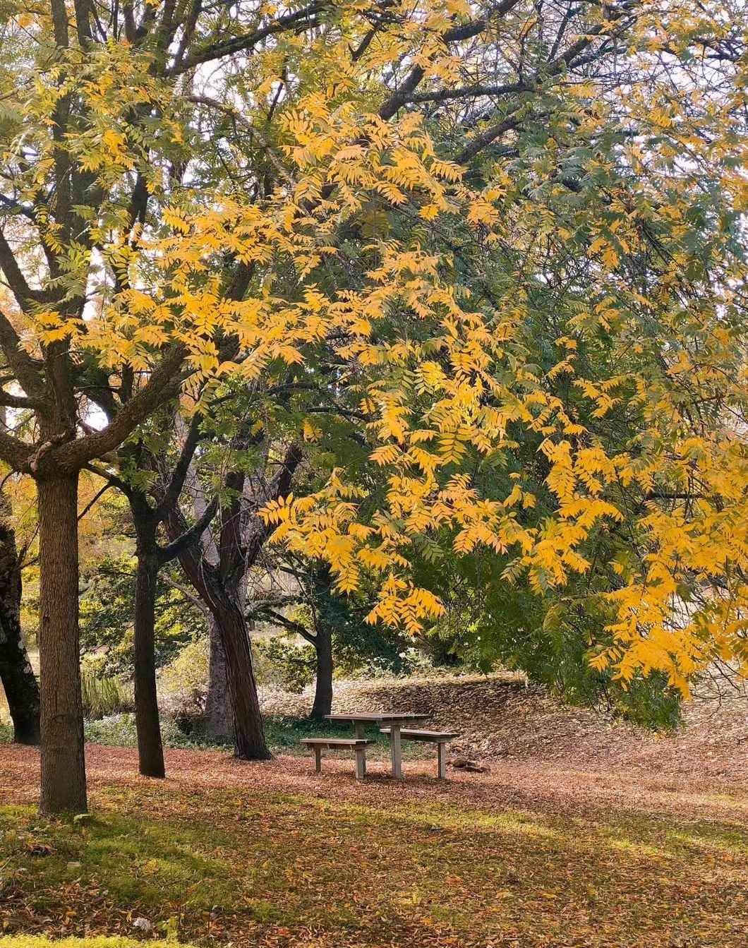 Experience Perth Hills Mundaring | Mundaring WA