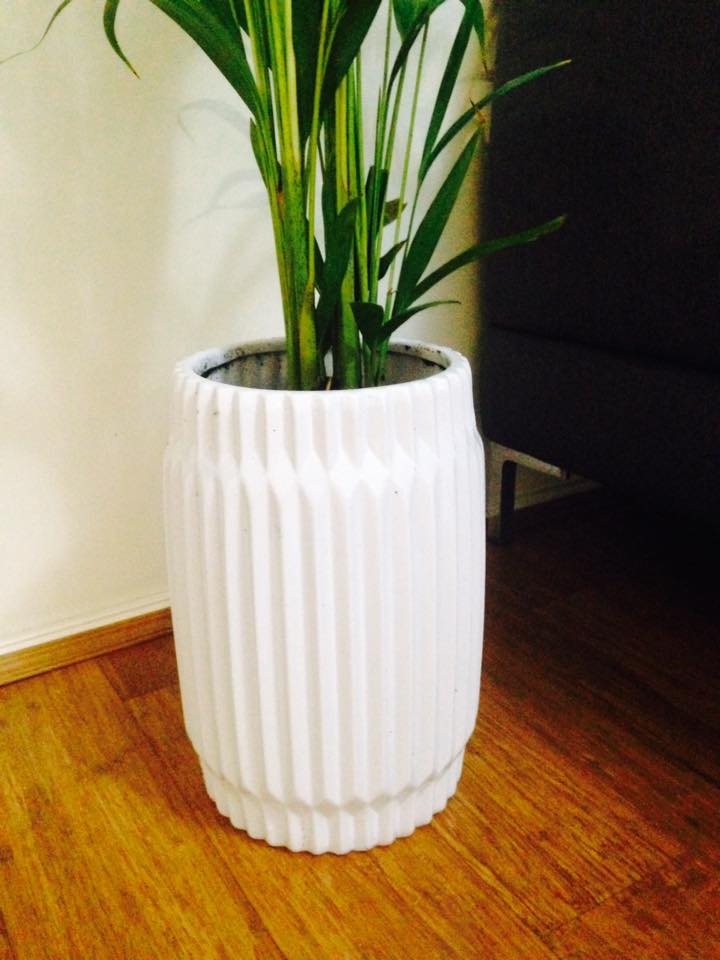 Canberra Indoor Plants Home