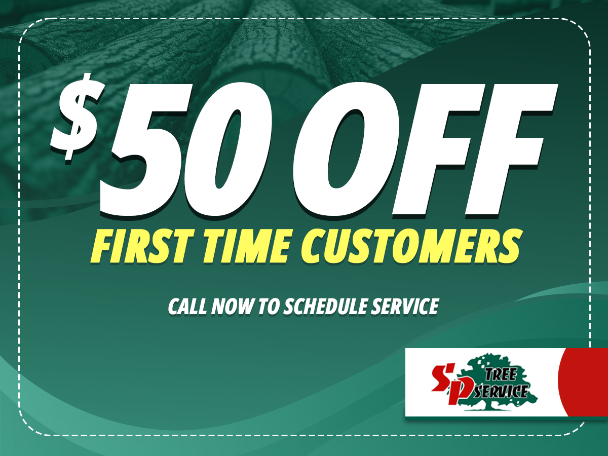SP Tree Service | Grand Prairie TX