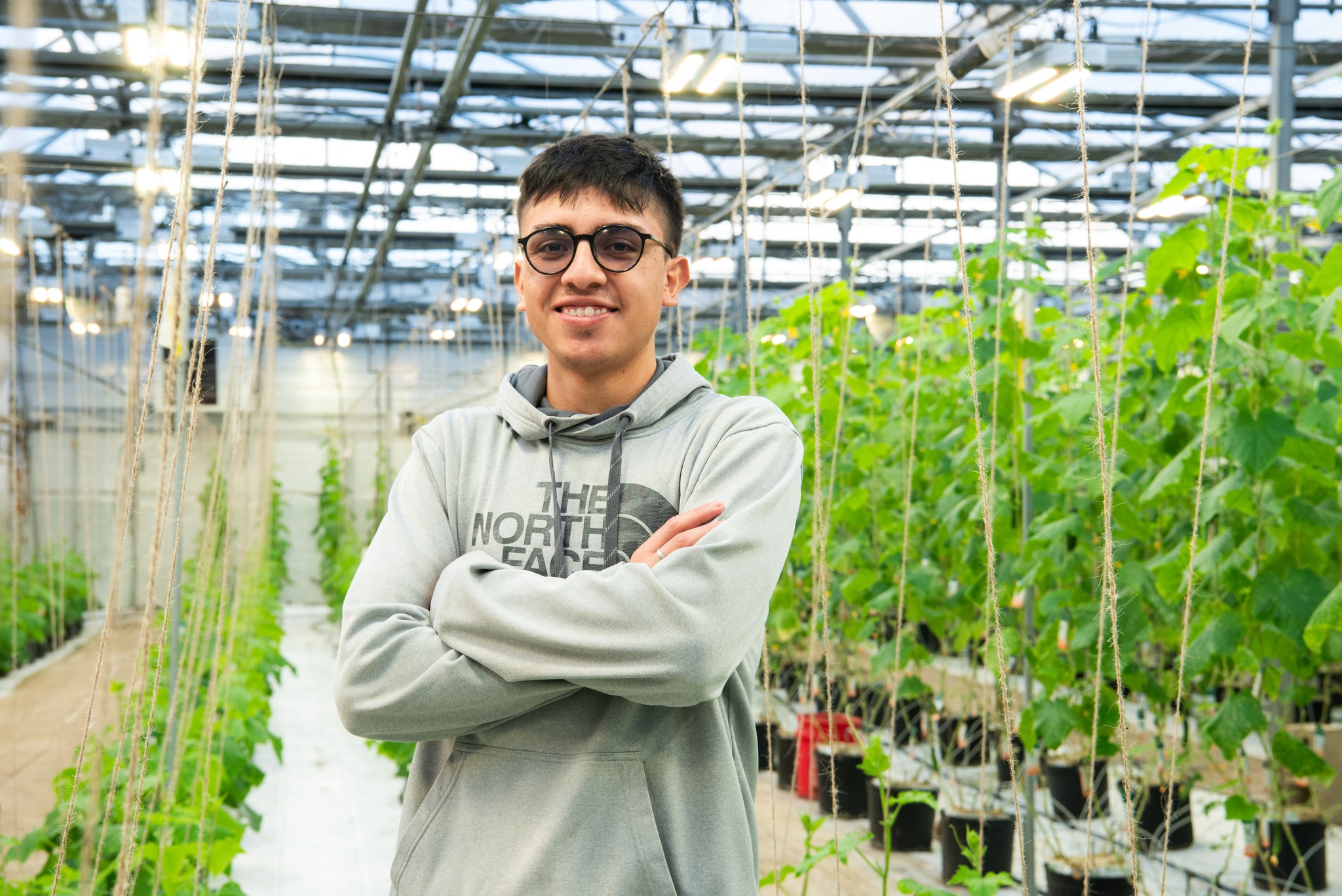 Meet our Greenhouse Intern, Sergio!... - The Chef's Garden | Facebook