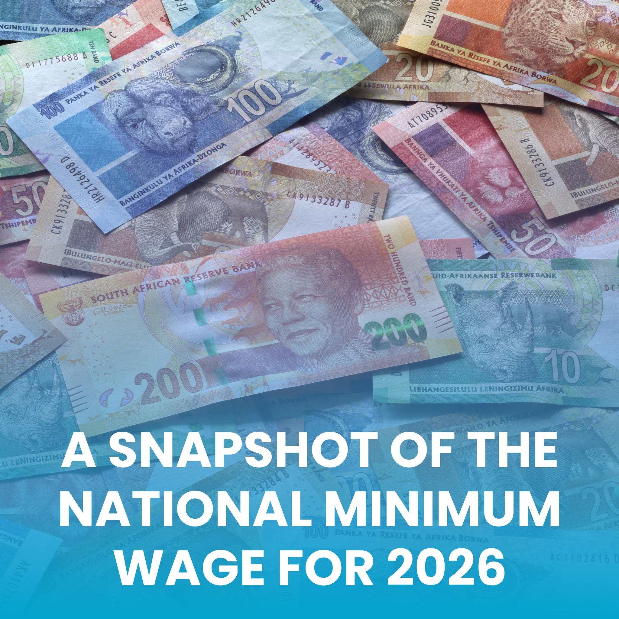 SA Labour Guide - SA Labour Guide added a new photo.