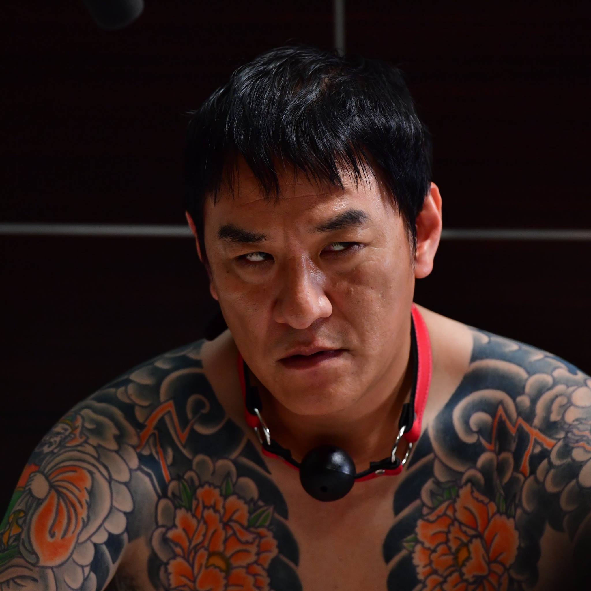 活動歴および当時の関連ビジュアル記録