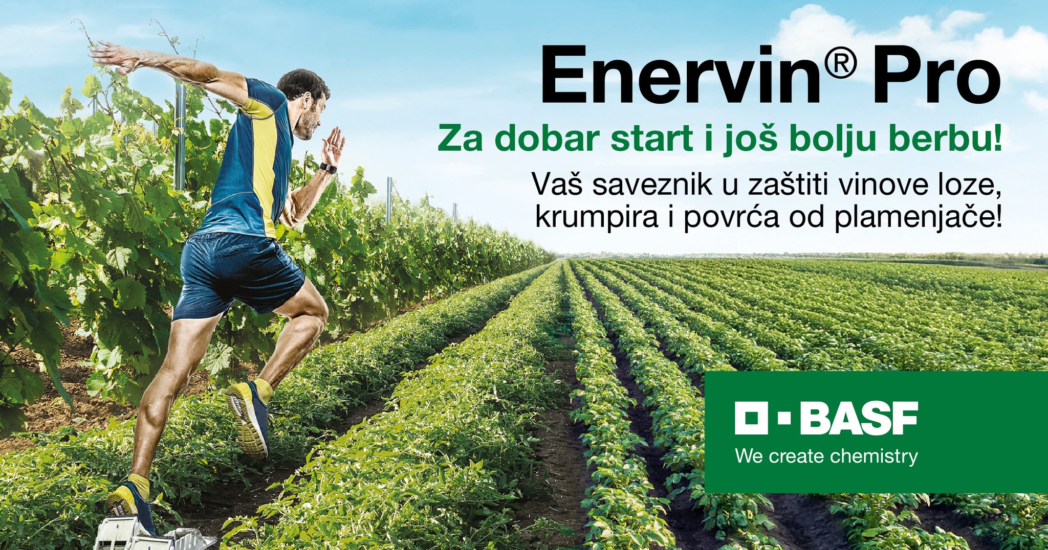 BASF - 🌱 NOVO! NOVO! NOVO Za dobar start i još bolju berbu – Enervin ...