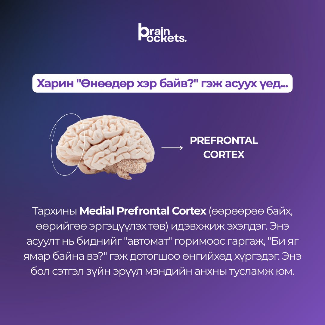 🗣️Хэрэв... - Тархины халаас контент /Brain pockets content/ | Facebook