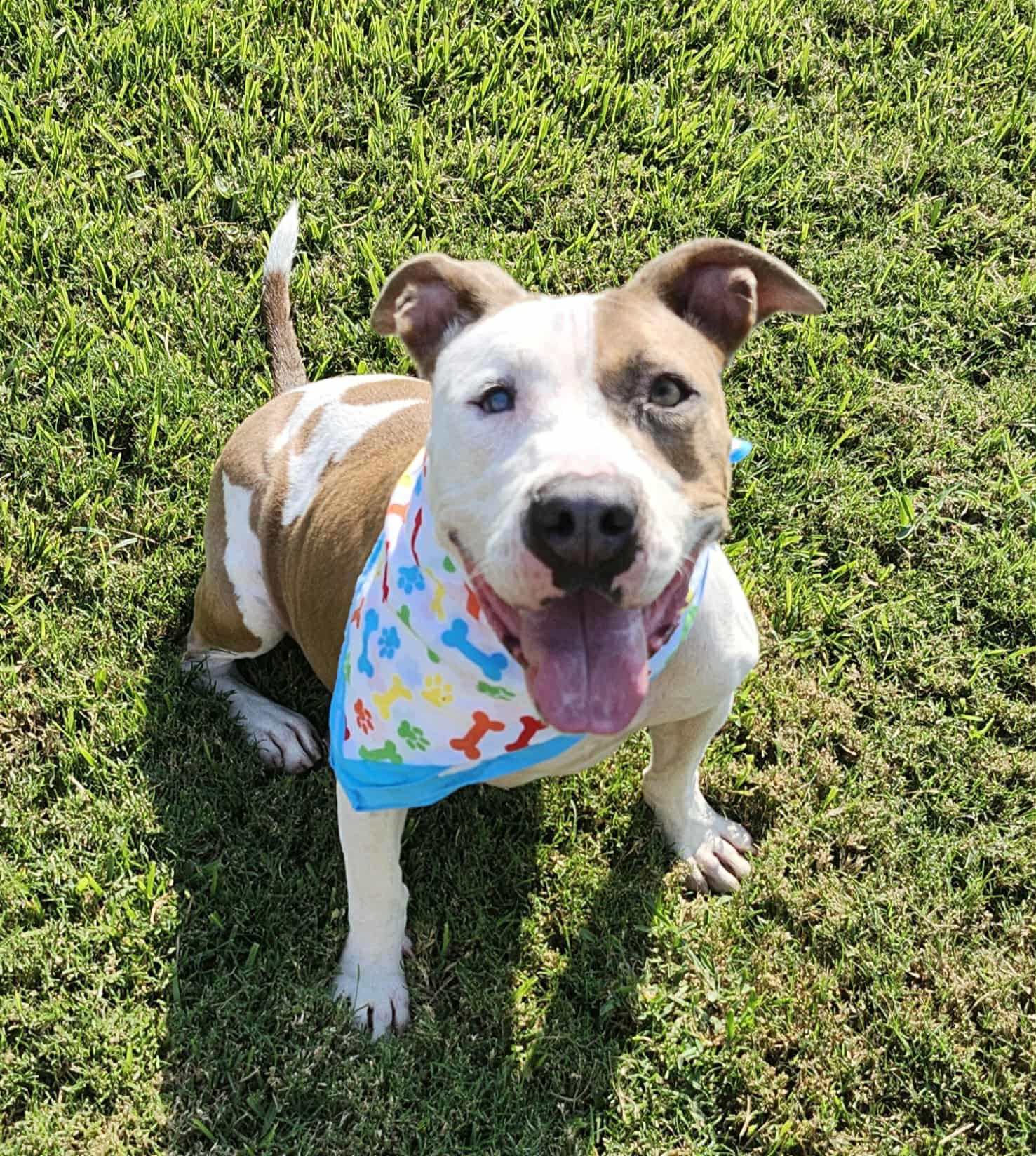 Adorable Ashley! Why is she still waiting? We have NO idea! She is 