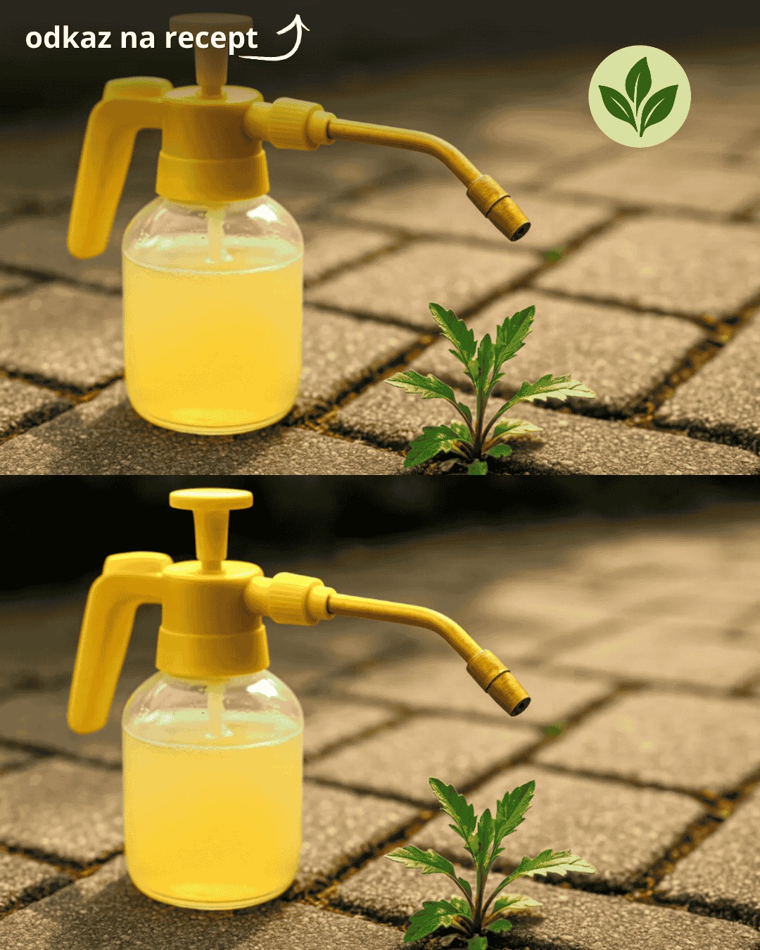 Recepty - 🌱 Domáci postrek na burinu v chodníku – zničte ju touto ...