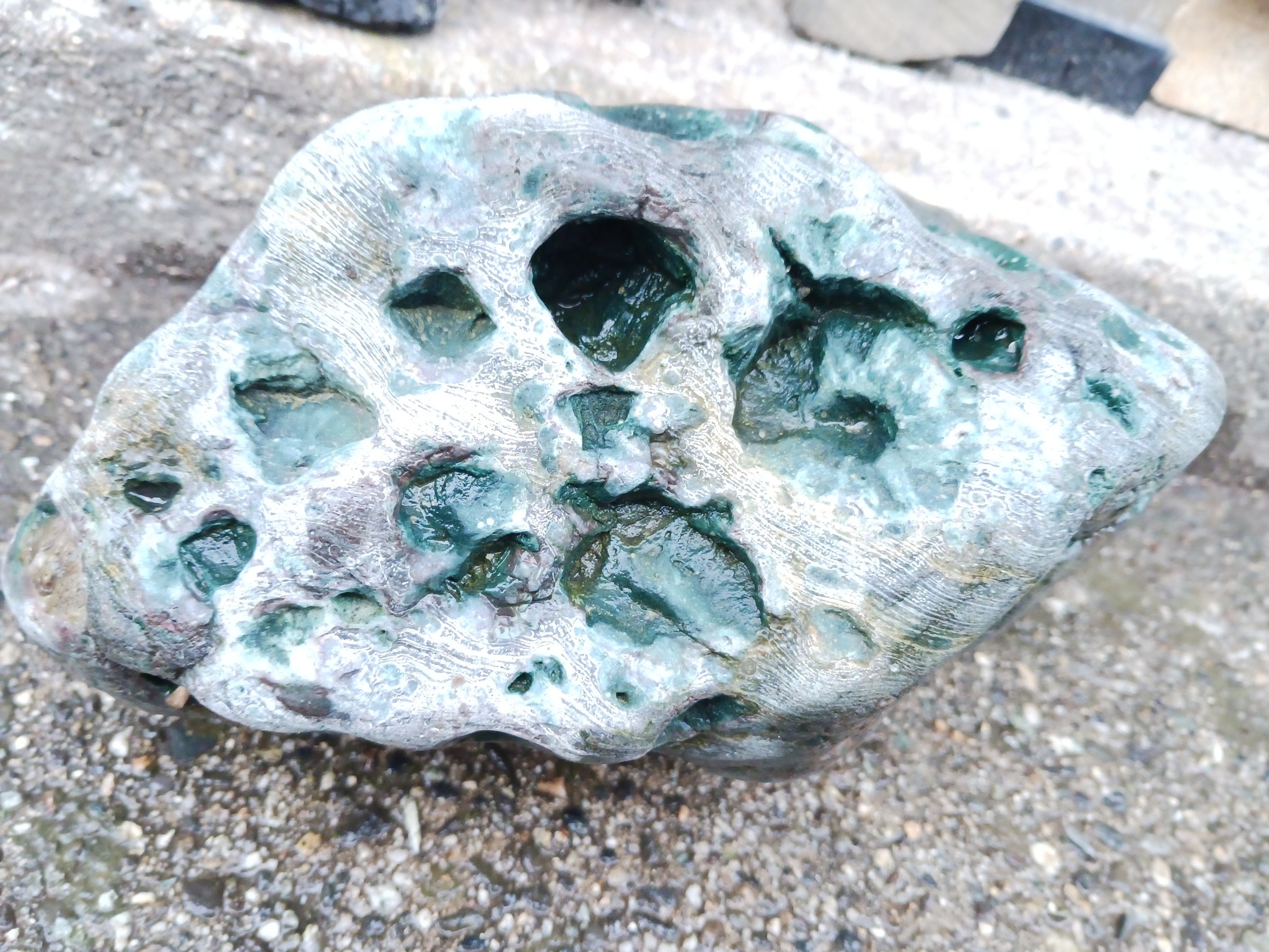 流紋岩ですがさすがこれは磨けません